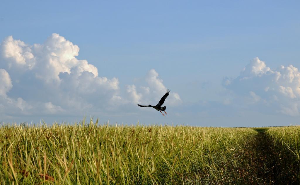Bamurru Plains Point Stuart Kültér fotó